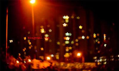 阑珊是什么意思