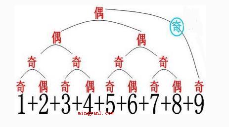 奇数是什么