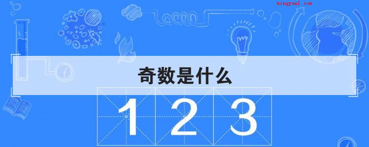 奇数是什么