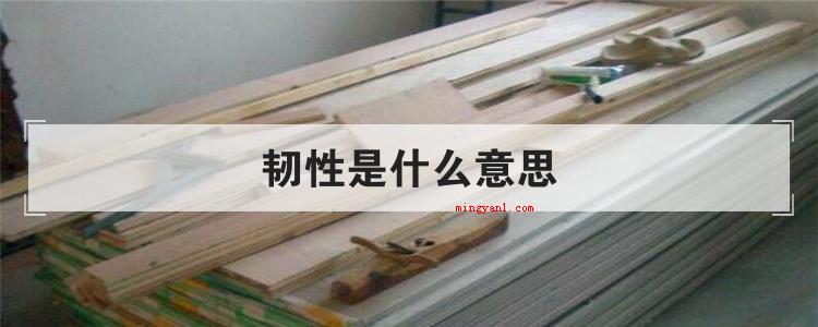 韧性是什么意思