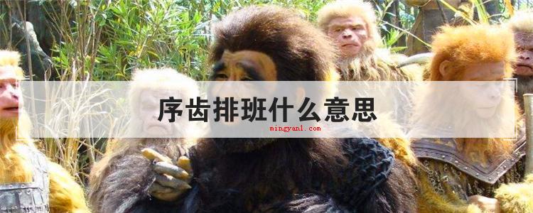 序齿排班什么意思