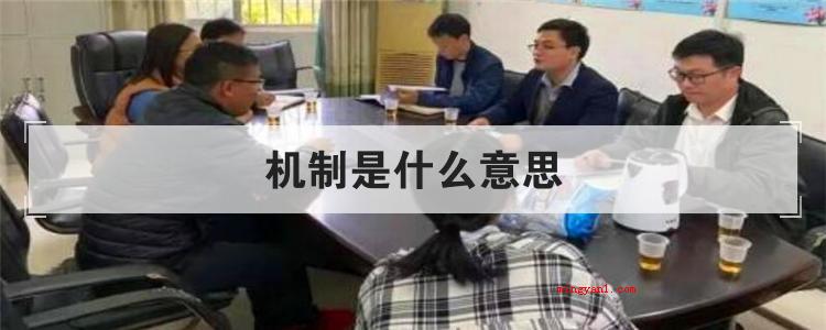 机制是什么意思