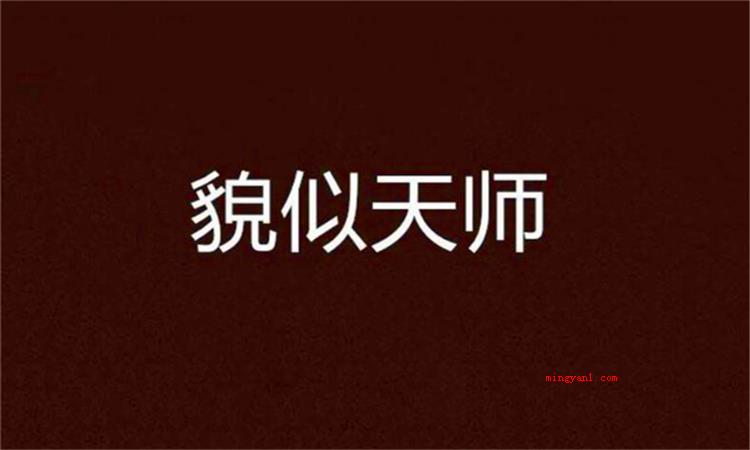 貌似是什么意思