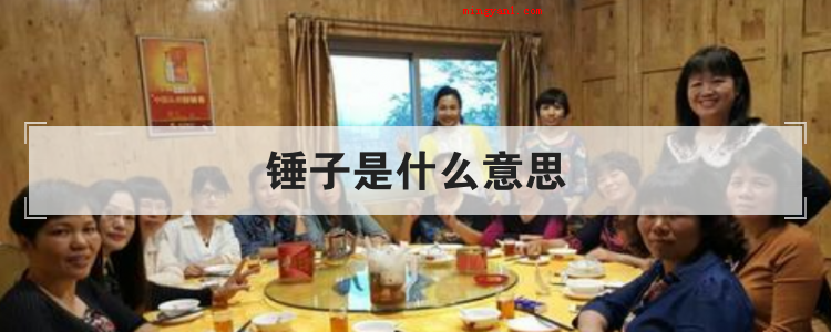 锤子是什么意思