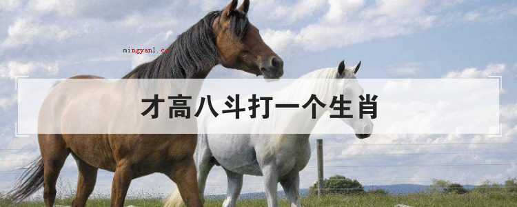 才高八斗打一个生肖