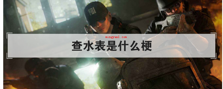 查水表是什么梗