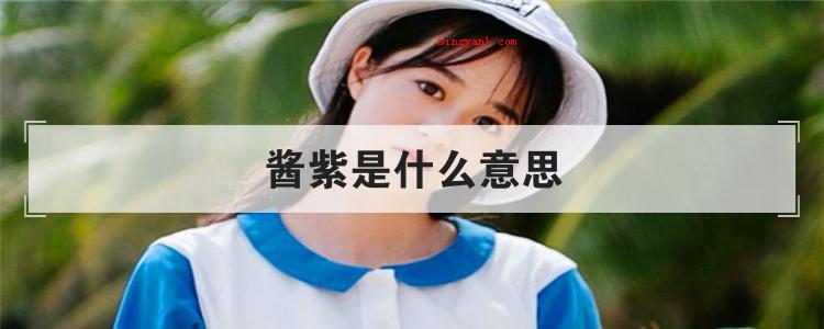 酱紫是什么意思