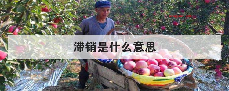 滞销是什么意思