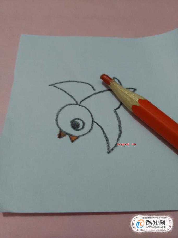小鸟的简笔画怎么画？