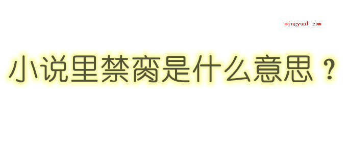 小说里禁脔什么意思?