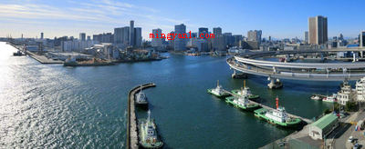 大湾区包括哪几个市?
