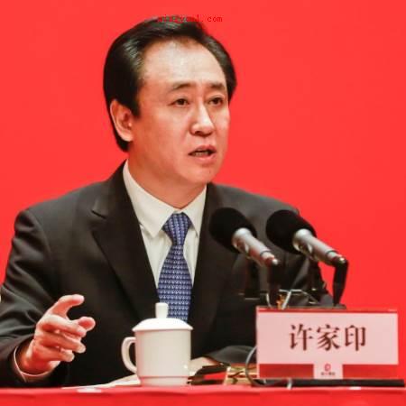 皮带家族是谁?