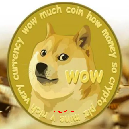 doge是什么币种?