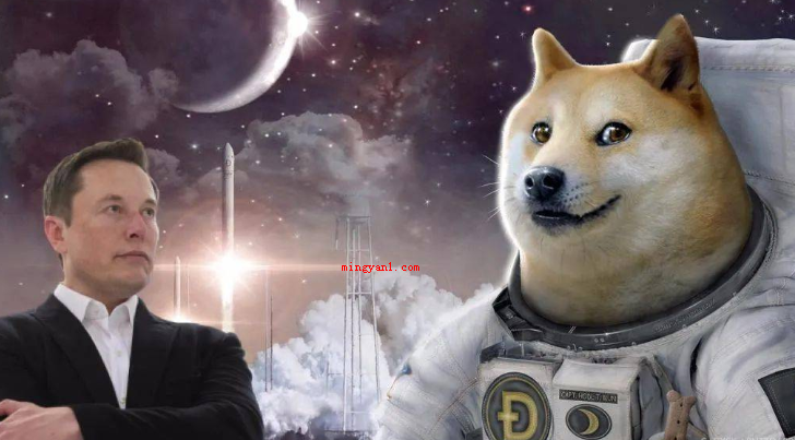 doge是什么币种?