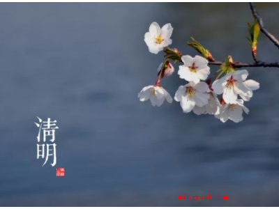 清明节上坟带什么供品 清明扫墓十大禁忌事项