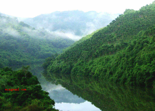 亚马逊河在哪里