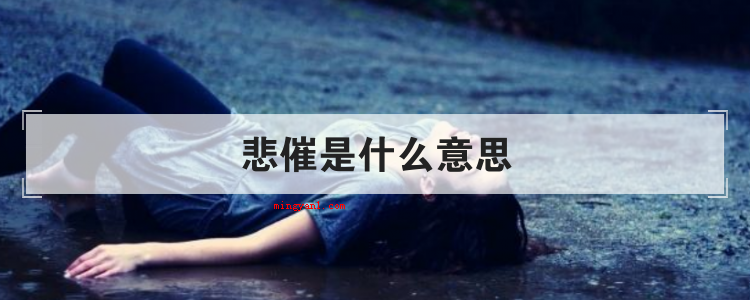 悲催是什么意思