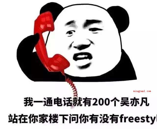 freestyle是什么梗