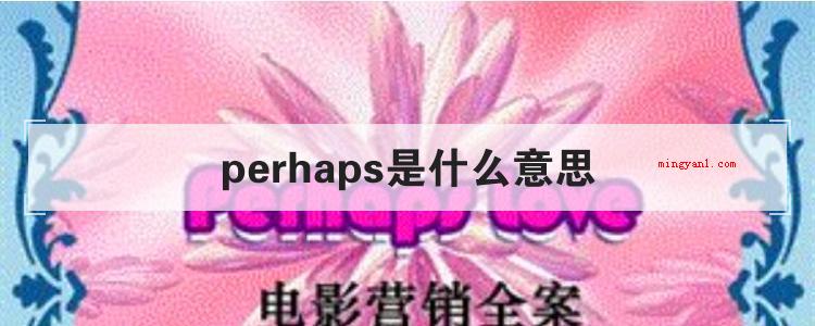 perhaps是什么意思