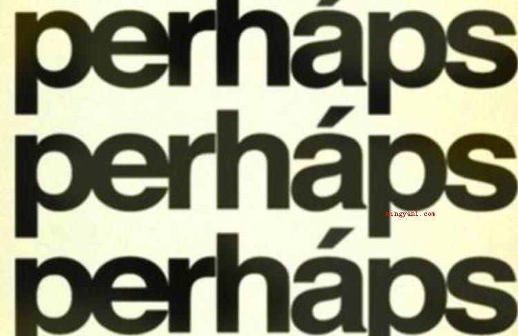 perhaps是什么意思