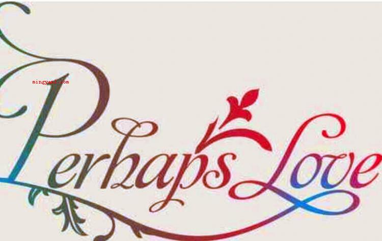 perhaps是什么意思