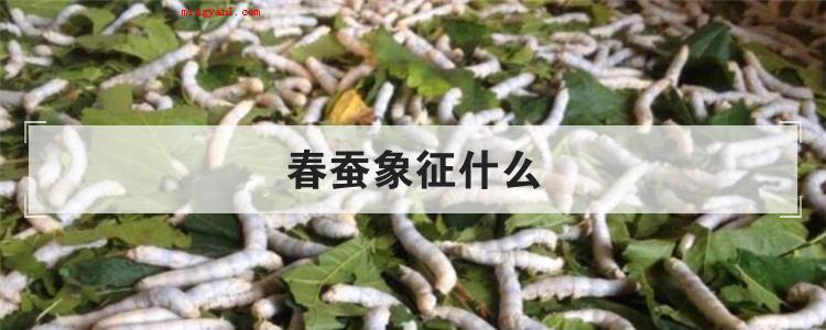 春蚕象征什么