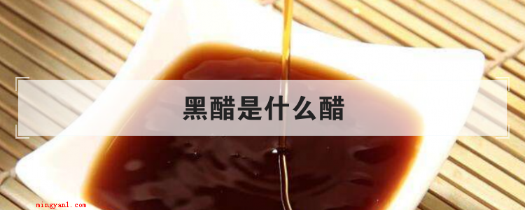 黑醋是什么醋