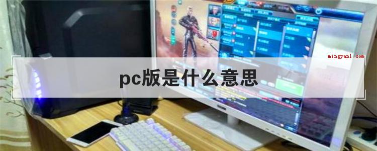 pc版是什么意思