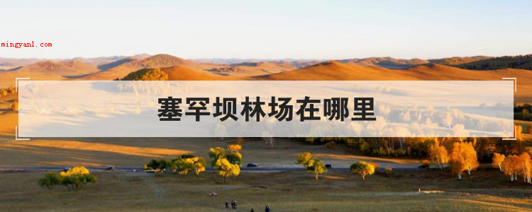 塞罕坝林场在哪里