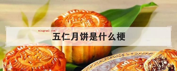 五仁月饼是什么梗