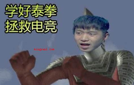 泰拳警告是什么梗?