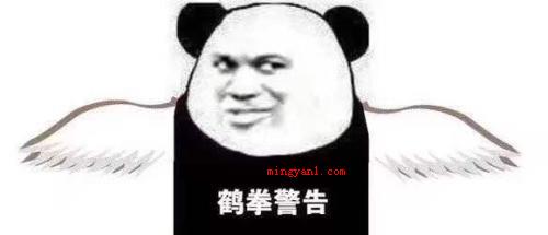 泰拳警告是什么梗?