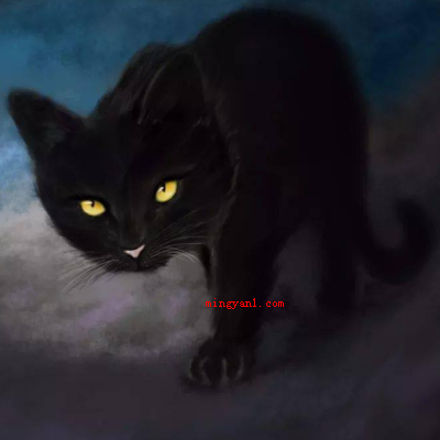 猫有九条命是真的吗?