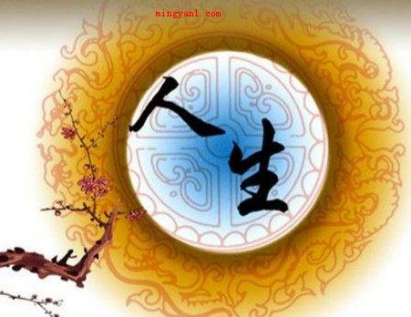 有理走遍天下无理寸步难行的意思是什么?