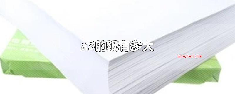 a3的纸有多大