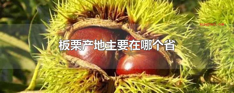 板栗产地主要在哪个省