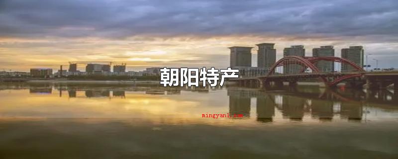 朝阳特产