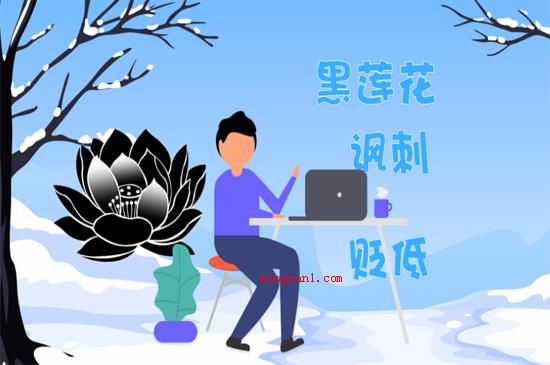 黑莲花是什么意思