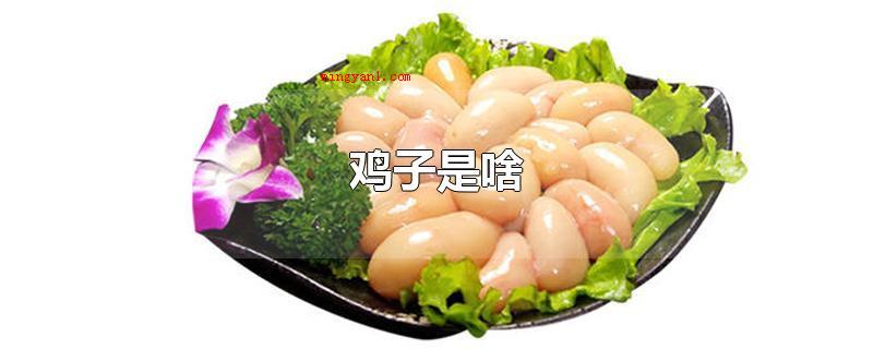 鸡子是啥