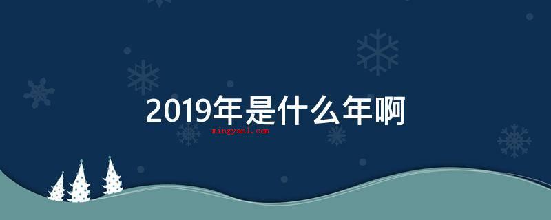 2019年是什么年啊