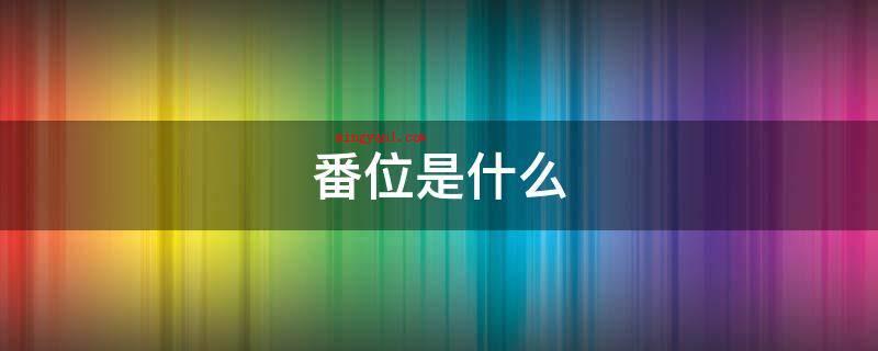 番位是什么