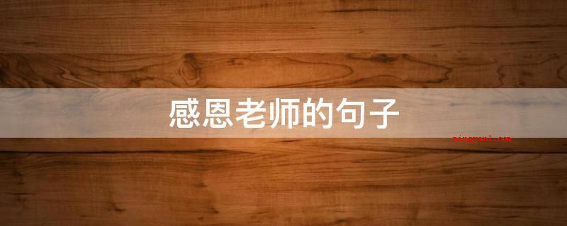 感恩老师的句子