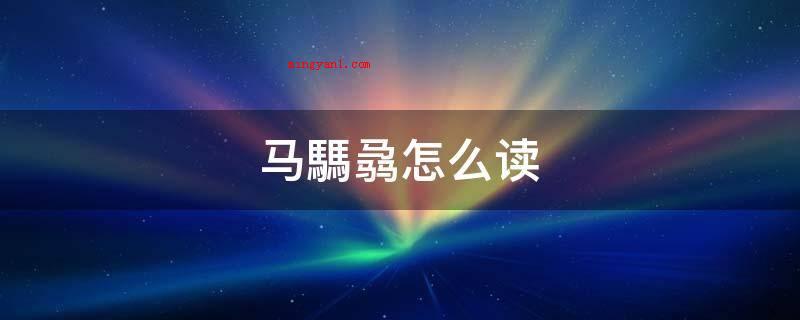 马騳骉怎么读(马(mǎ),释义:哺乳类动物,头大,面科长,耳壳站立,头颈有)
