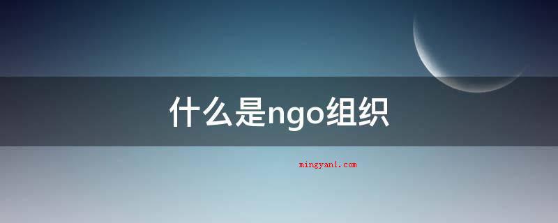 什么是ngo组织