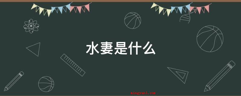 水妻是什么
