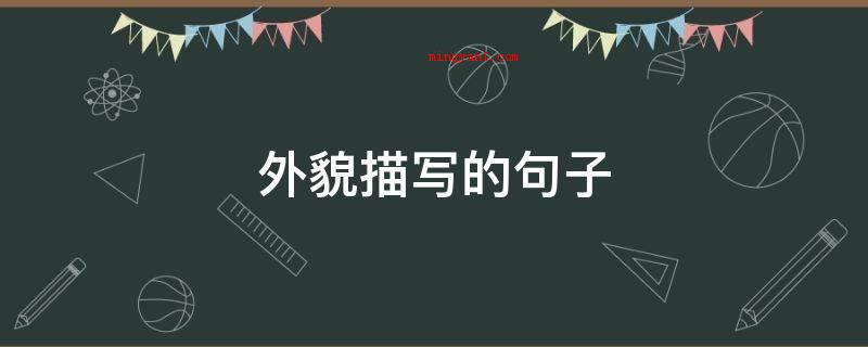 外貌描写的句子