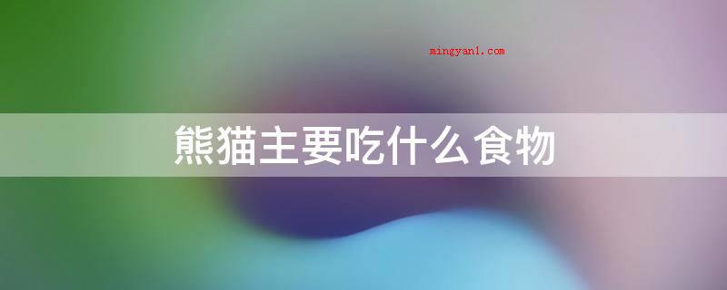 熊猫主要吃什么食物(大熊猫关键吃的食物是竹子)