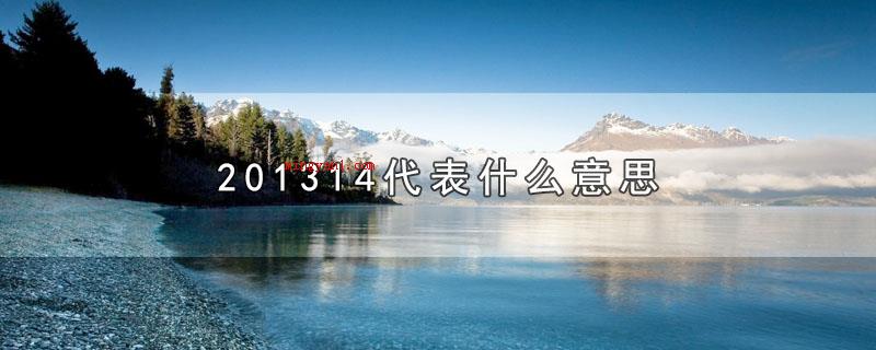 201314代表什么意思
