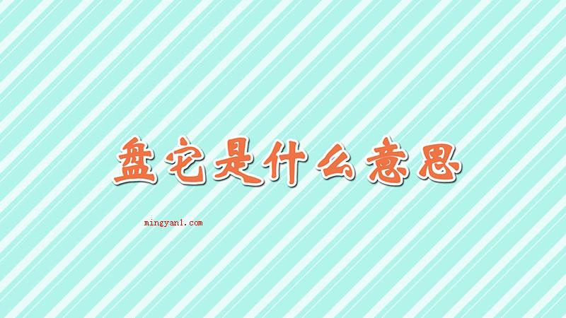 盘它是什么意思