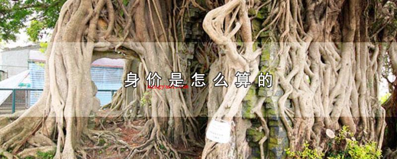 身价是怎么算的